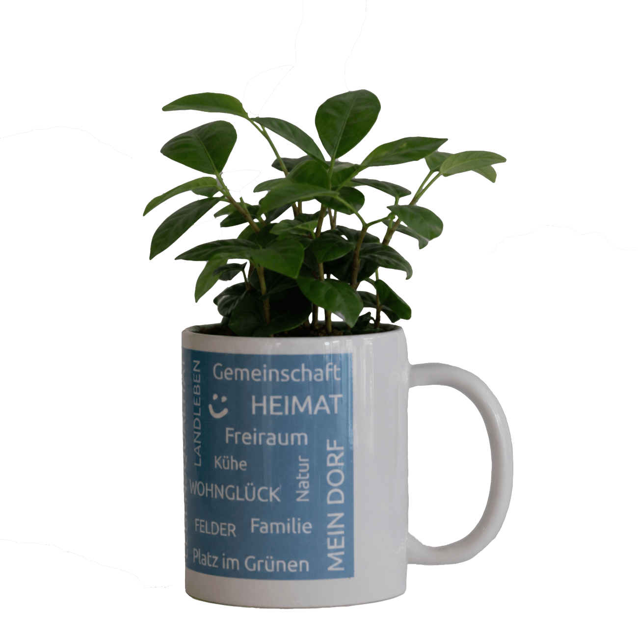 Ein Heimatbecher aus dem eine Pflanze wächst
